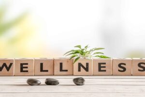 December Health and Wellness Topics